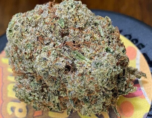 Very Berry Haze Kush Strain