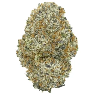 BC Kush Marijuana Strain