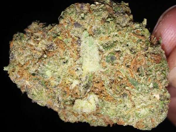 BF Blue Cheese Cannabis Strain