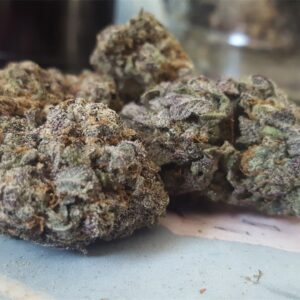 Black Domina Weed Strain